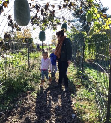 242 pounds of orchard fruit harvested!