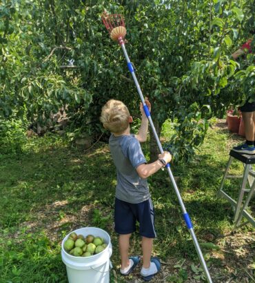 1,700 pounds of produce were harvested this year.