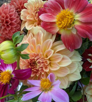 228 flower bouquets at our farm stand.