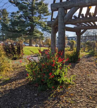 Added a pergola to our garden as a gathering space. (Shout out to our Grounds Crew for hard work they put into building the pergola!)